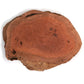 Australian Red Coolibah Burl Slice - 2 kg - 4 kg alt 0