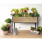 Self-Watering Elevated Planter 21" x 47" x 32"H Cedar alt 0